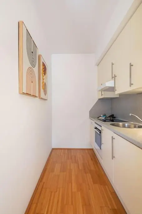2 Seperate Full Apartments / 5 Bedroom / Rooftop / Vídeň 0*,