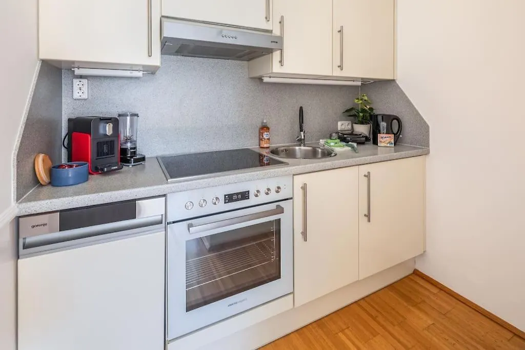 2 Seperate Full Apartments / 5 Bedroom / Rooftop / Vídeň 0*,