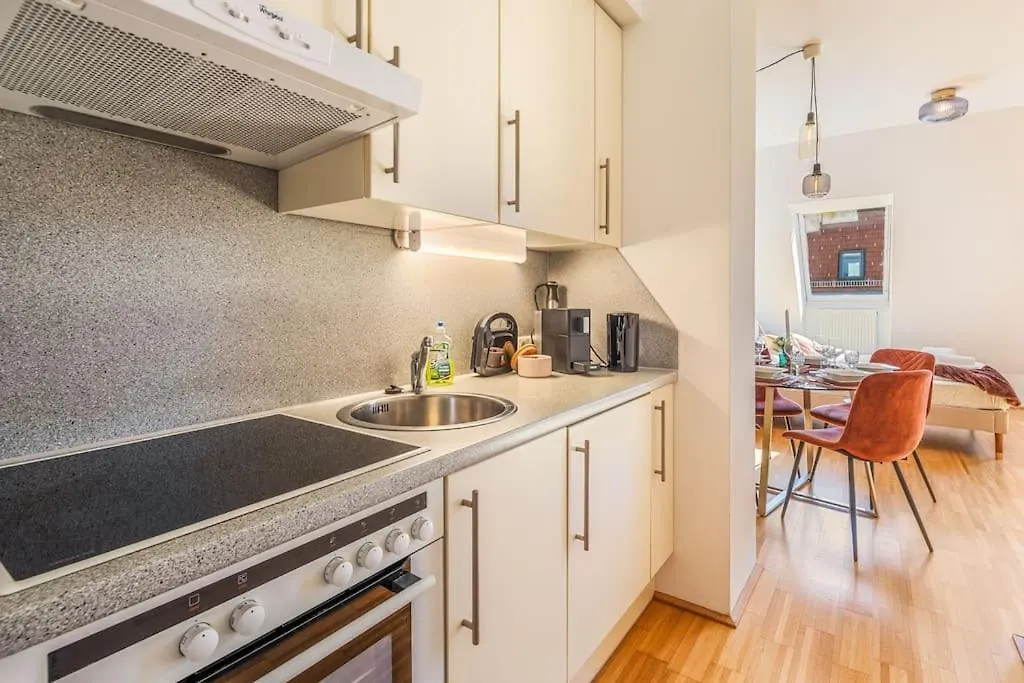 2 Seperate Full Apartments / 5 Bedroom / Rooftop / Vienna Austria